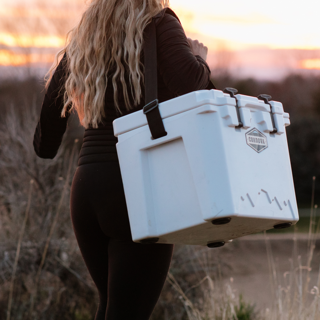 Balise 25 qt Basecamp Class™ Hard Cooler