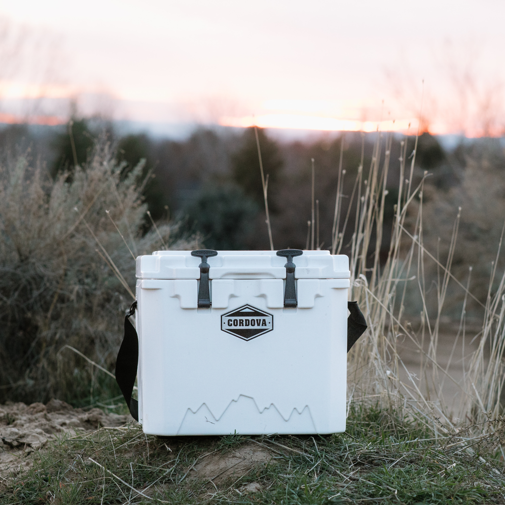 Balise 25 qt Basecamp Class™ Hard Cooler